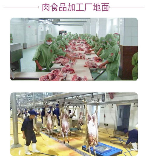 聚氨酯地坪在食品生產(chǎn)加工廠的應(yīng)用特點