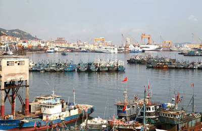 東北亞冷鏈物流大連園區(qū) 首個(gè)跨省石島大連物流專線正式啟用