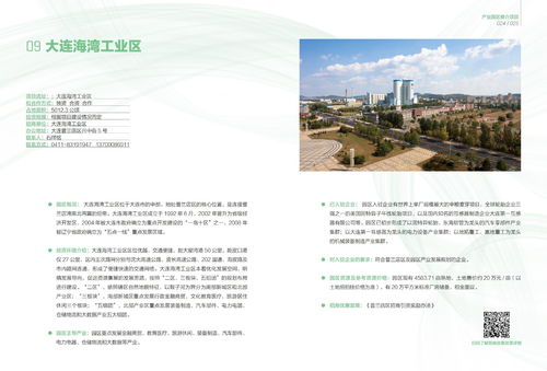 大連市產業(yè)園區(qū)招商項目推介 二