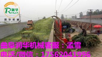 自動化浪潮下的畜牧飼料利器 多功能碎草機與鍘草機智造升級趨勢解析